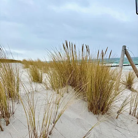 Strand-domizil Zingst Niederdorla
