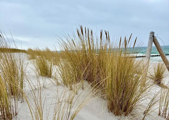 Strand-domizil Zingst Niederdorla